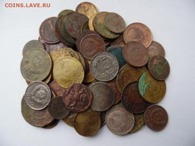 55 убитых ранних советов и 10 империи окончание 23.01.2016 - SAM_1582.JPG