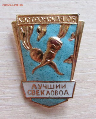 Лучший свекловод Костромская обл до 21.01. в 22:30 - IMG_2142.JPG