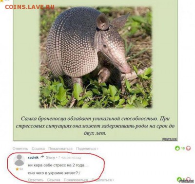 События на Украине. - 1453140049_original55