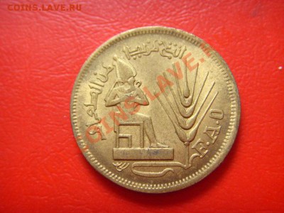 Египет 10 миллимов 1976 ФАО до 05.10 в 21.00 М - LPIC8676.JPG