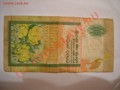 иностранщина до 05.10.2010 в 22-00 - DSCN7830.JPG