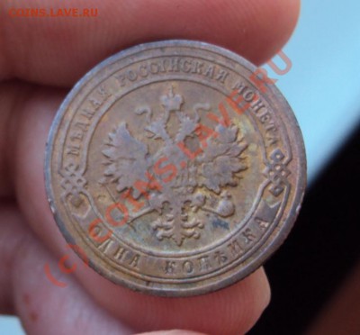 1 копейка 1903 года до 9.10.2010 22.00 Мск - DSC01430