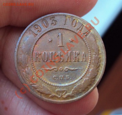 1 копейка 1903 года до 9.10.2010 22.00 Мск - DSC01431