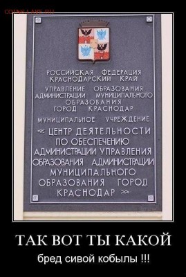 юмор - краснодар