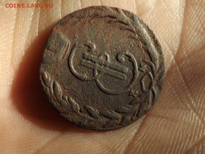 Деньга 1769 года.Сибирь.до 22.01.16 года. - DSCF6315[1]