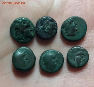 6 монет (обол) в сохране. до 23.01.16 - 20160121_170206-1