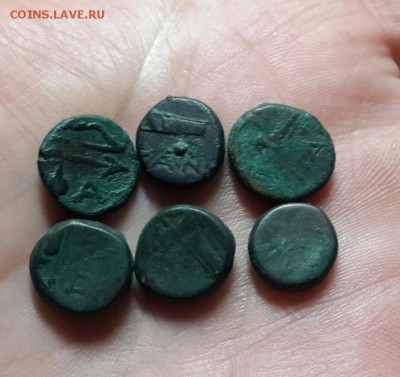 6 монет (обол) в сохране. до 23.01.16 - 20160121_170240-1