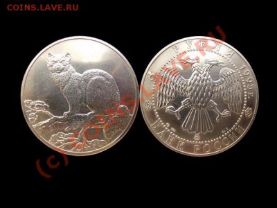 3 РУБЛЯ СОБОЛЬ ММД До 6 Октября До 22:00 по Мск ! - СОБОЛЬ.JPG