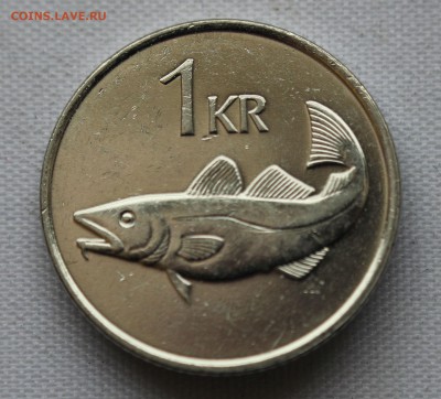 Конкурс «Veni Vedi Vici» - IMG_9624.JPG