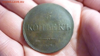 5 копеек 1835 ЕМ ФХ ХОРОШАЯ ДО 27.01.16 22.30 по МСК - P1020960.JPG