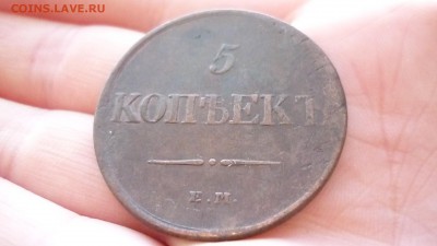 5 копеек 1831 ЕМ ФХ ХОРОШАЯ ДО 27.01.16 22.30 по МСК - P1020977.JPG
