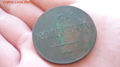 5 копеек 1831 ЕМ ФХ ДО 27.01.16 22.30 по МСК - P1020967.JPG