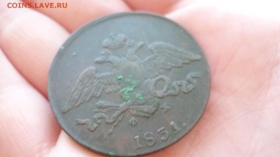 5 копеек 1831 ЕМ ФХ ДО 27.01.16 22.30 по МСК - P1020968.JPG
