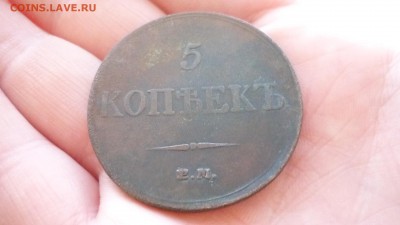5 копеек 1833 ХОРОШАЯ ДО 27.01.16 22.30 по МСК - P1020974.JPG