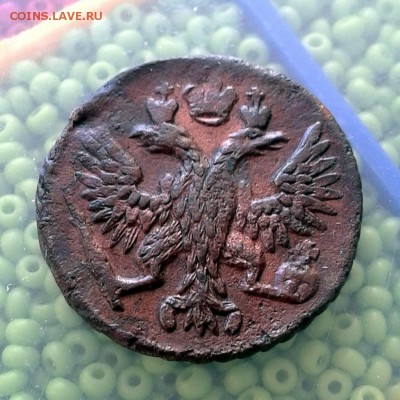 Полушка 1749г КРАСИВАЯ до 28.01.16г до 22.00 Мск - 20160121_110854