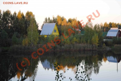 ФОТО - просто фото. Те что получились удачными. - DSC_0153