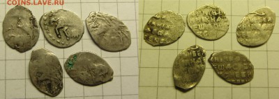 Федор Ал. 5 чешуек - IMG_0071.JPG