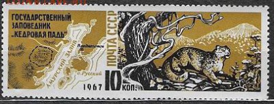 СССР 1967. Заповедник "Кедровая падь" - 1967-585