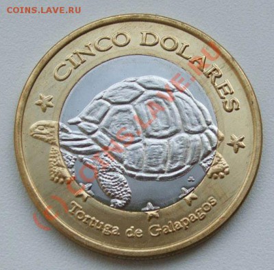 5 долларов 2008 Галапагосские о-ва Черепаха~~~5.10 23.00мск - 5 долларов 2008.JPG