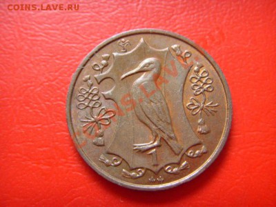 Мэн 1 пенни 1985 . Птица . unc.  до 06.10 в 21.00 М - LPIC8716.JPG