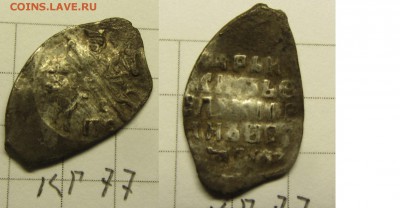 Иван 4 кг 77  до 26.01.16 22-00 мск - IMG_0126.JPG