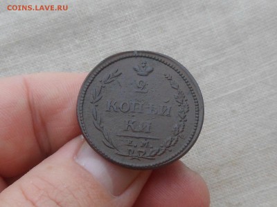 2 копейки 1810 ем нм (пчелка) до 26.01.2016 в 22-00 по МСК - RSCN5439.JPG