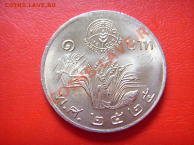 Таиланд 5 бат 1982 ФАО до 06.10 в 21.00 М - LPIC8690.JPG