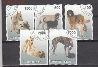 Туркменистан 1998 собаки - 93