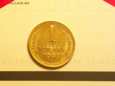 1к49-красивая-с двухсот-до 28 1 16 22 30 - 149р