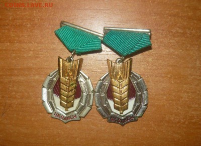 ЦК ВЛКСМ. Колос. 2 знака с отличиями одним лотом. Фикс - 413.JPG