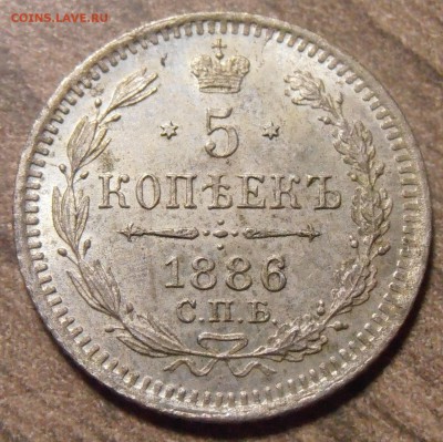 5 копеек 1886, до 27.01.2016 в 22-00 Мск - P1010371.JPG