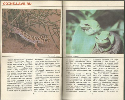 Рыбы, Амфибии,Рептилии красной книги СССР , 21.00 мск 01.02 - Рыбы, Амфибии,Рептилии красной книги СССР-3