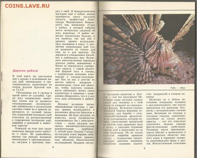 Рыбы, Амфибии,Рептилии красной книги СССР , 21.00 мск 01.02 - Рыбы, Амфибии,Рептилии красной книги СССР-2