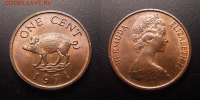 1 - Бермуды – 1 цент (1971) «Кабан; Елизавета тип №1» (XF) №1