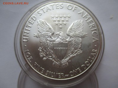 1$  США  ШАГАЮЩАЯ СВОБОДА  1 2 16  22 00 мск - IMG_0401.JPG