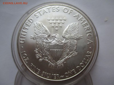 1$  США  ШАГАЮЩАЯ СВОБОДА  1 2 16  22 00 мск - IMG_0403.JPG