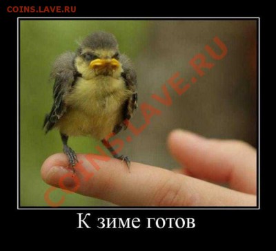 Скоро Зимушка-Зима..!!! - demotivator014