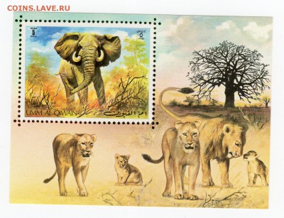 Фауна Умм-эль-Кайвайн Слон блок MNH - img107