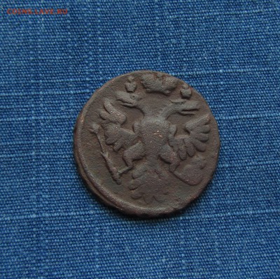 денга 1740 (Иван VI) короткий - IMG_1381