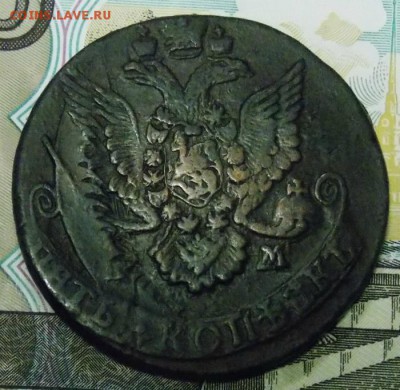 5 копеек 1784 КМ? - DSCN5884.JPG