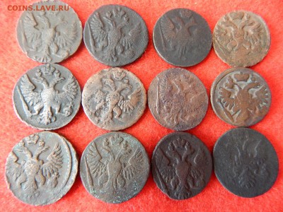 Деньга 12 штук - DSCN1155[1].JPG