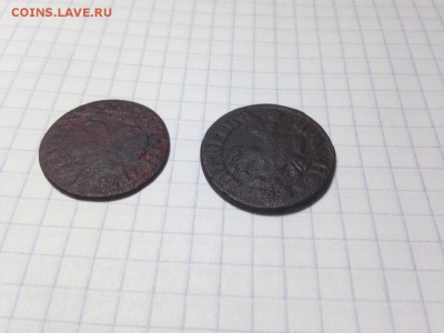 монеты Петра? на атрибуцию-оценку - image-254b825099cbdc7232329e42f7bfdd17a11d09fd54d22e0f6ed4971f950ae52e-V