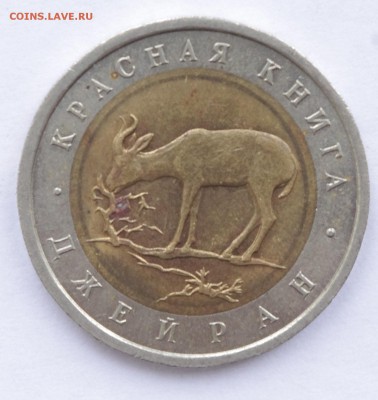 КК Джейран 1994 до до 2.02.16 22-00 - Джейран1