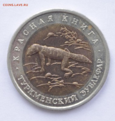 КК Туркменский Зублефар 1993 до 2.02.2015 22-00 - Зублефар1