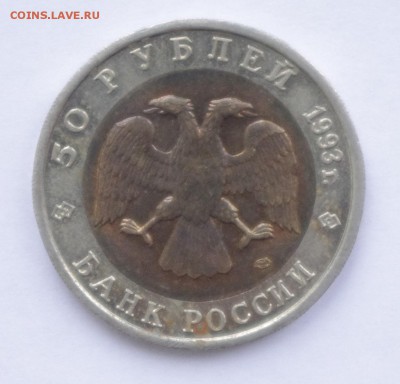 КК Туркменский Зублефар 1993 до 2.02.2015 22-00 - Зублефар2