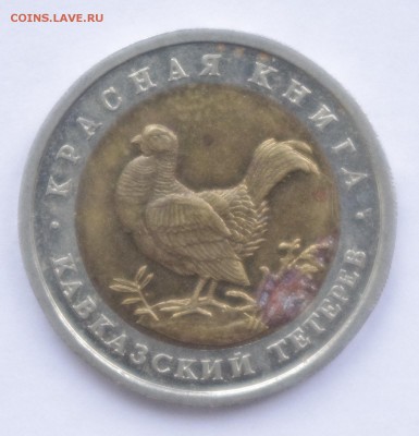 КК Кавказский Тетерев 1993 до 2.02.2016 22-00 - Тетерев1