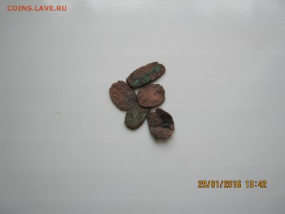 Чешуя.-.Медь.31.01.2016г.22-00МСК. - IMG_5321.JPG