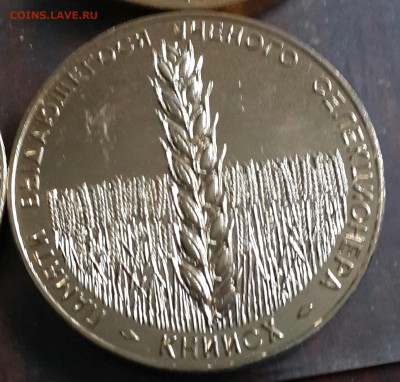 Настольная медаль. П. П. Лукьяненко. КНИИСХ. - 20160129_163723-1