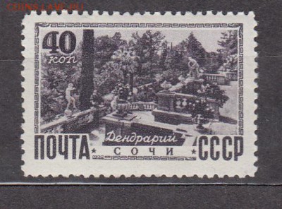СССР Сочи дендрарий - 276