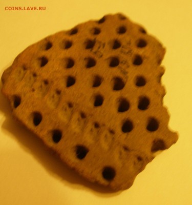Черепок Оценка и опознание - P1290097.JPG
